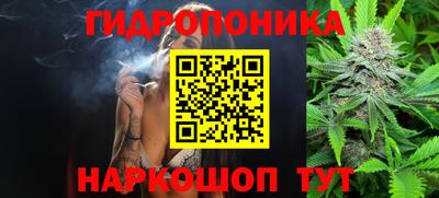 мдпв Ачхой-Мартан