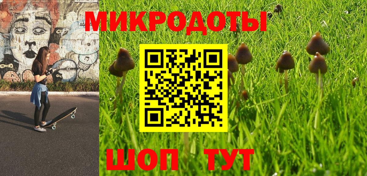 Кострома  Псилоцибиновые грибы MAGIC MUSHROOMS  Вход с VPN 