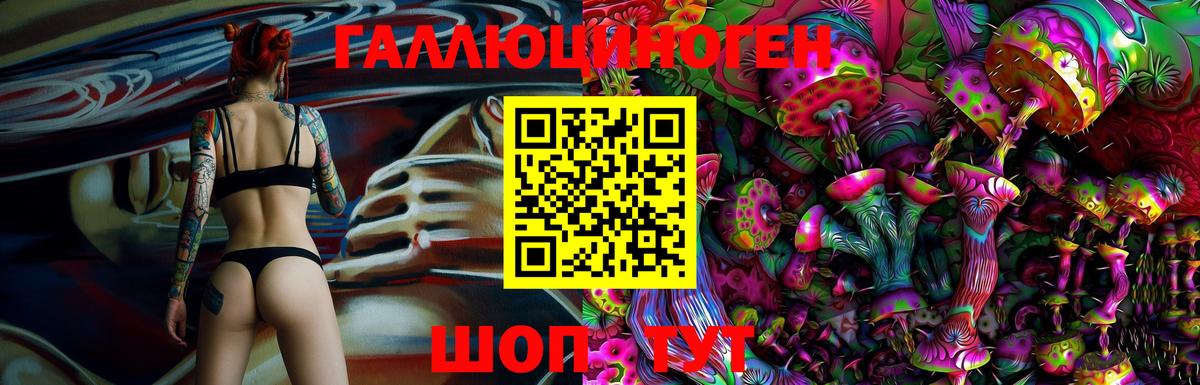 Галлюциногенные грибы Psilocybe Кострома